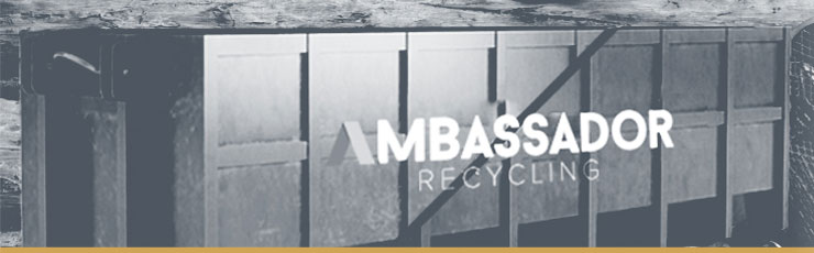 Residential Bin Rentals in Windsor